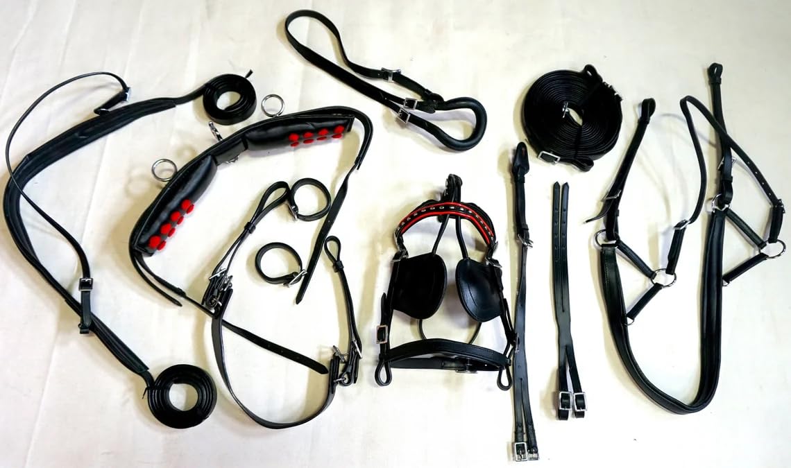 Juego de arnés de conducción de nailon de alta calidad, tachuela ecuestre completa con riendas y poni de brida, mazorca, completo y negro Shetland (pony)