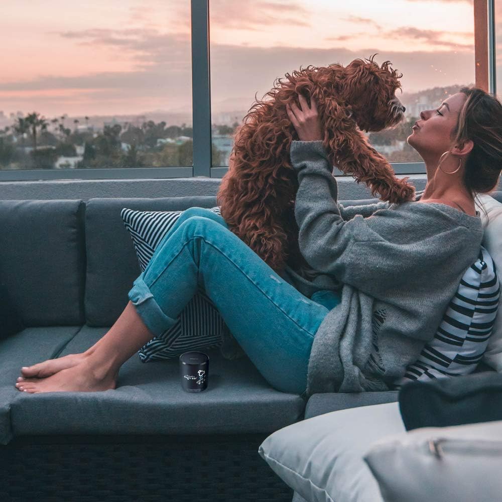 Special iCalmDog 5.0b Bluetooth Speaker + 3-hrs Clinically-Tested Classical Dog Calming Music: Through a Dog's Ear | Your Proven Canine Anxiety Solution