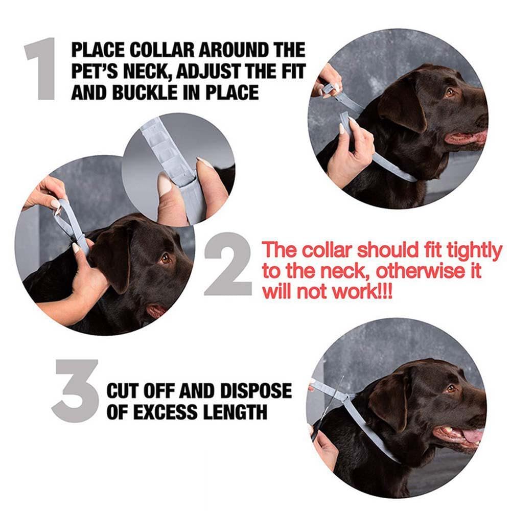 PetVogue Flea and Tick Collar for Dogs, Flea and Tick Prevention for Dog, 25 Inch, 8 Month Protection, 1 Pack 3