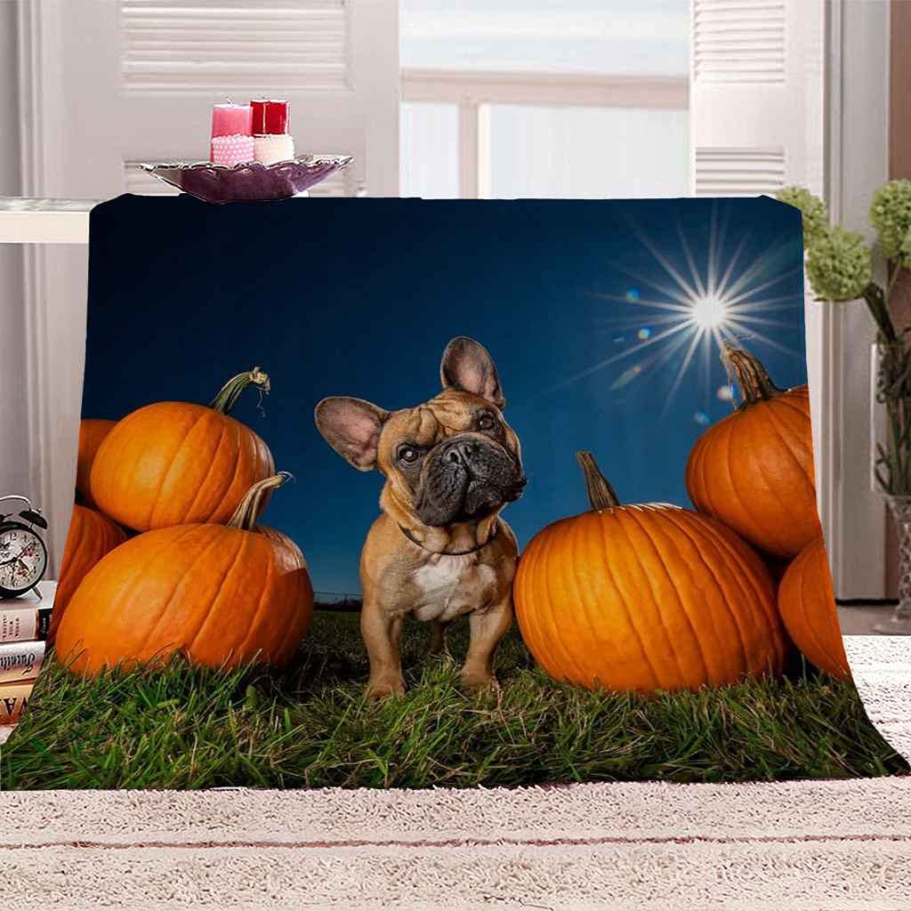 Couverture polaire microfibre 130x150cm isolante et douce pour chien
