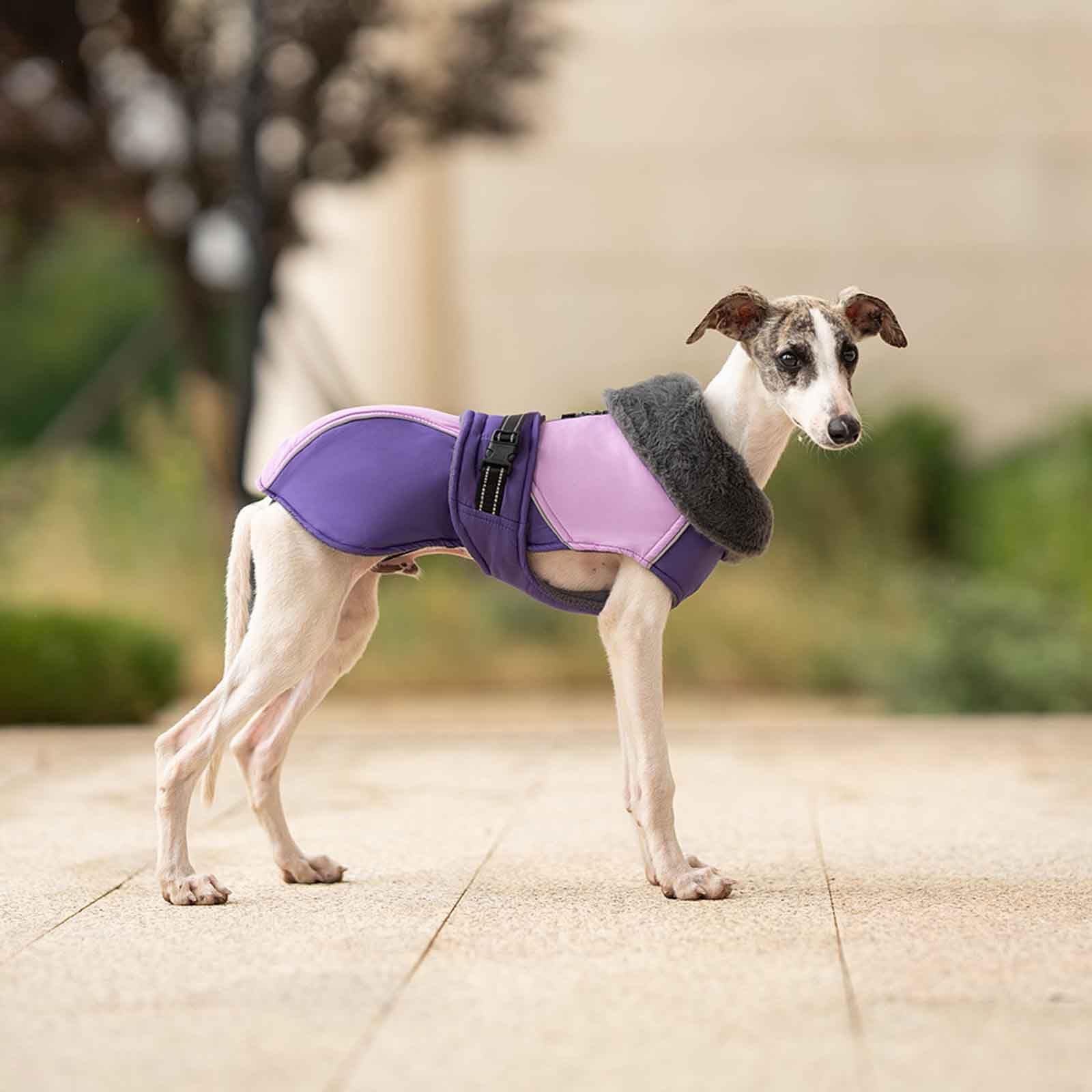 Warm Hundemäntel Für Kaltes Wetter, Hunde Wintermäntel, Weste Hund, Reflektierend Hundemäntel Mit Turtleneck, Für Hund Camping Wandern,Blau,3XL