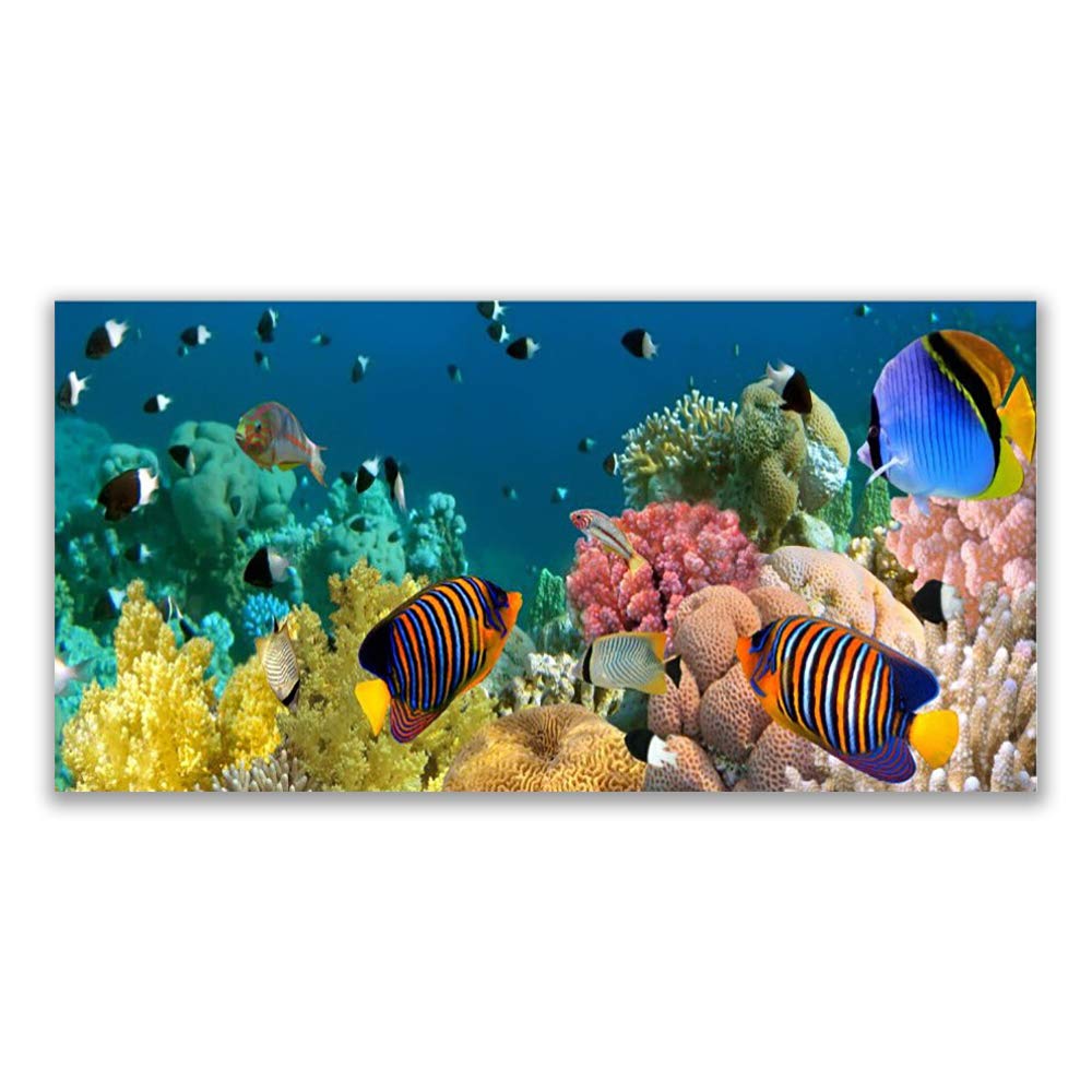 Impression sur verre acrylique Tulup 120x60cm tableau récifs coralliens premium déco murale