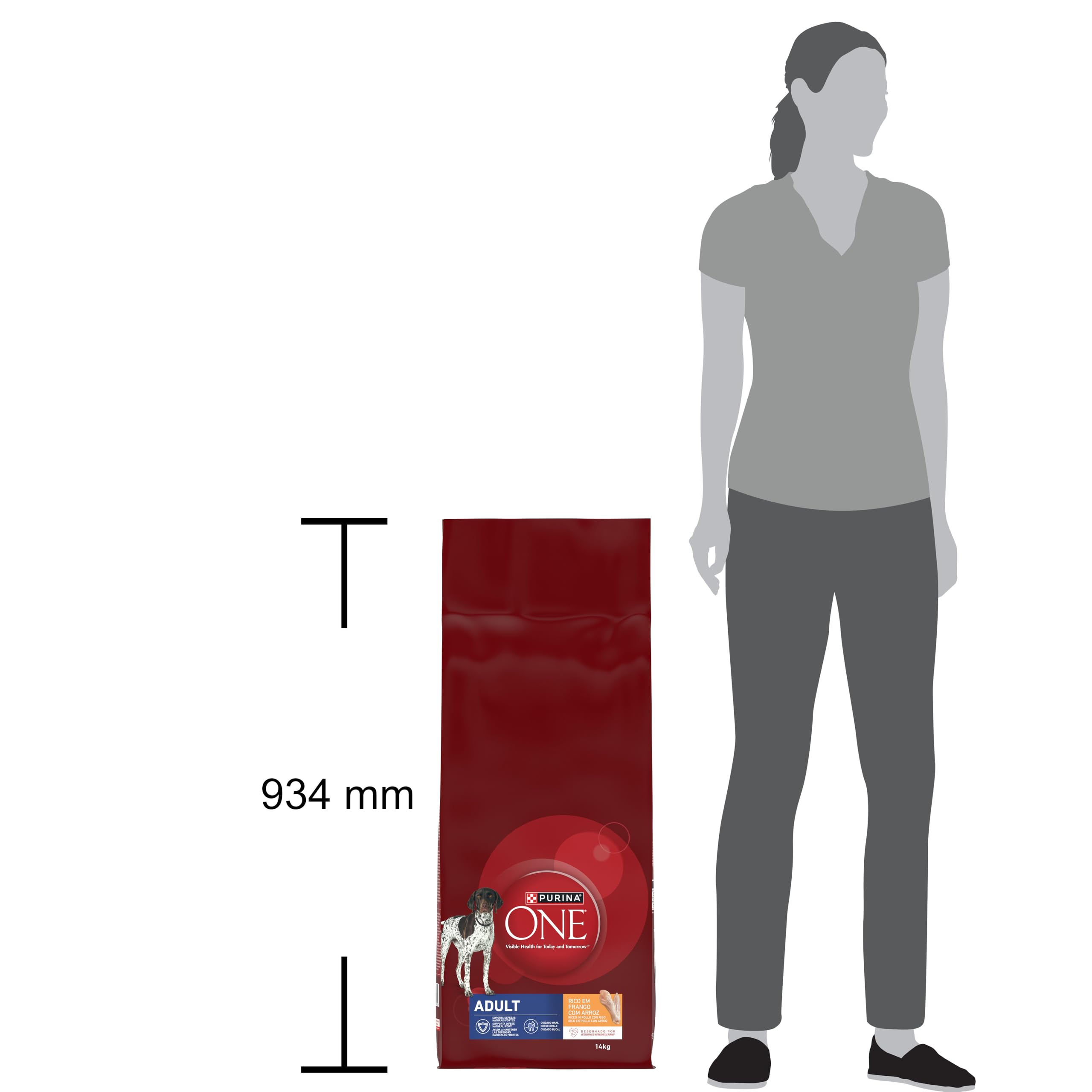 PURINA ONE Maroon, Crocchette per Cani Adulti, Pollo e Riso, Sacco da 14kg | Cibo Secco per Cani Adulti con Pollo e Riso