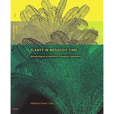 Plants in Mesozoic Time: Morphological Innovations, Phylogeny, Ecosystems