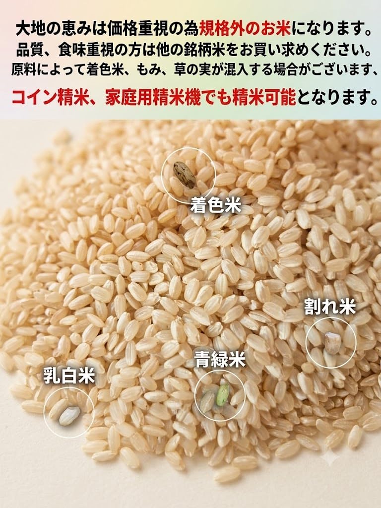 Amazon.co.jp: 大地の恵み こだわり米 玄米 10kg 国内産 100