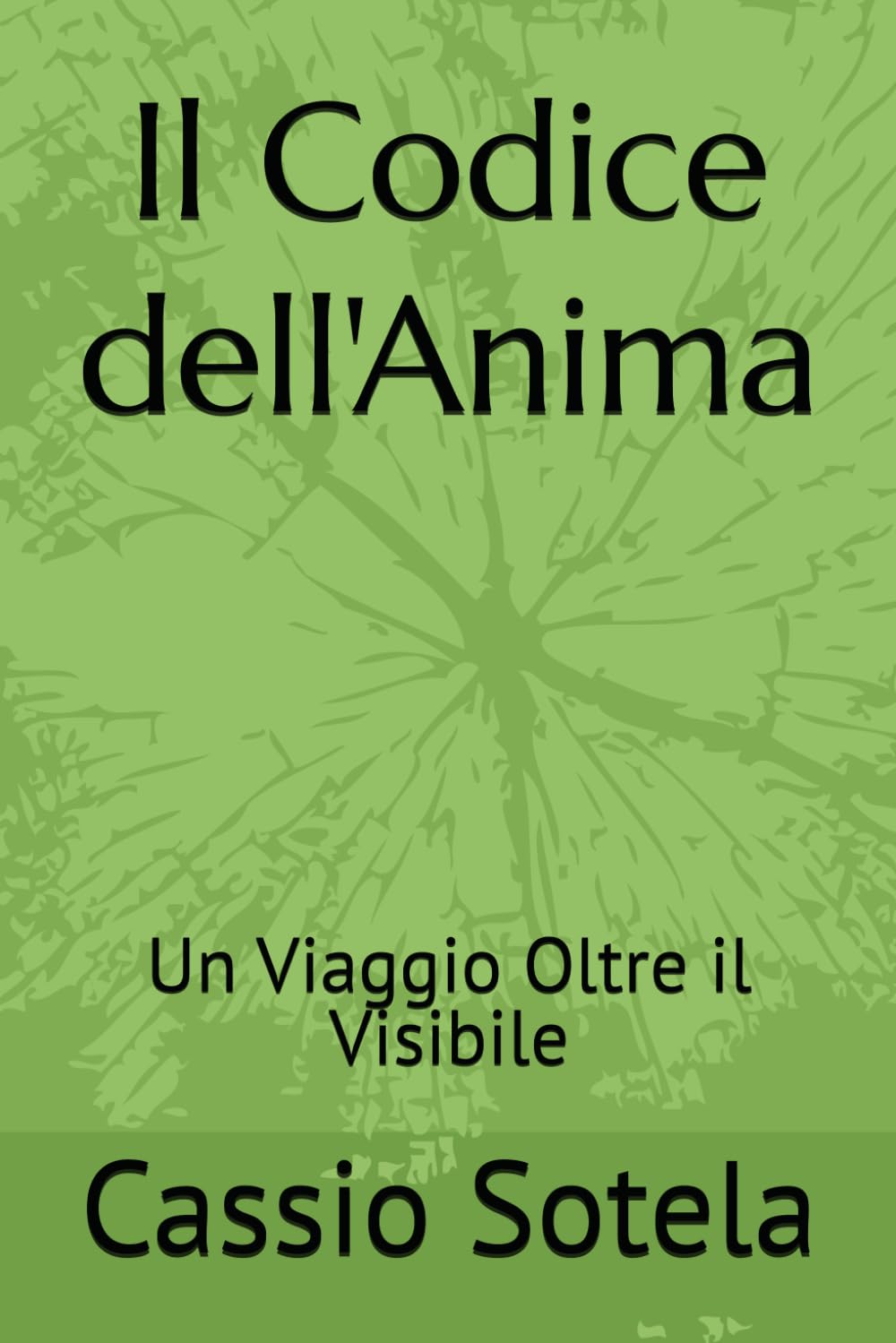 Il Codice dell'Anima: Un Viaggio Oltre il Visibile