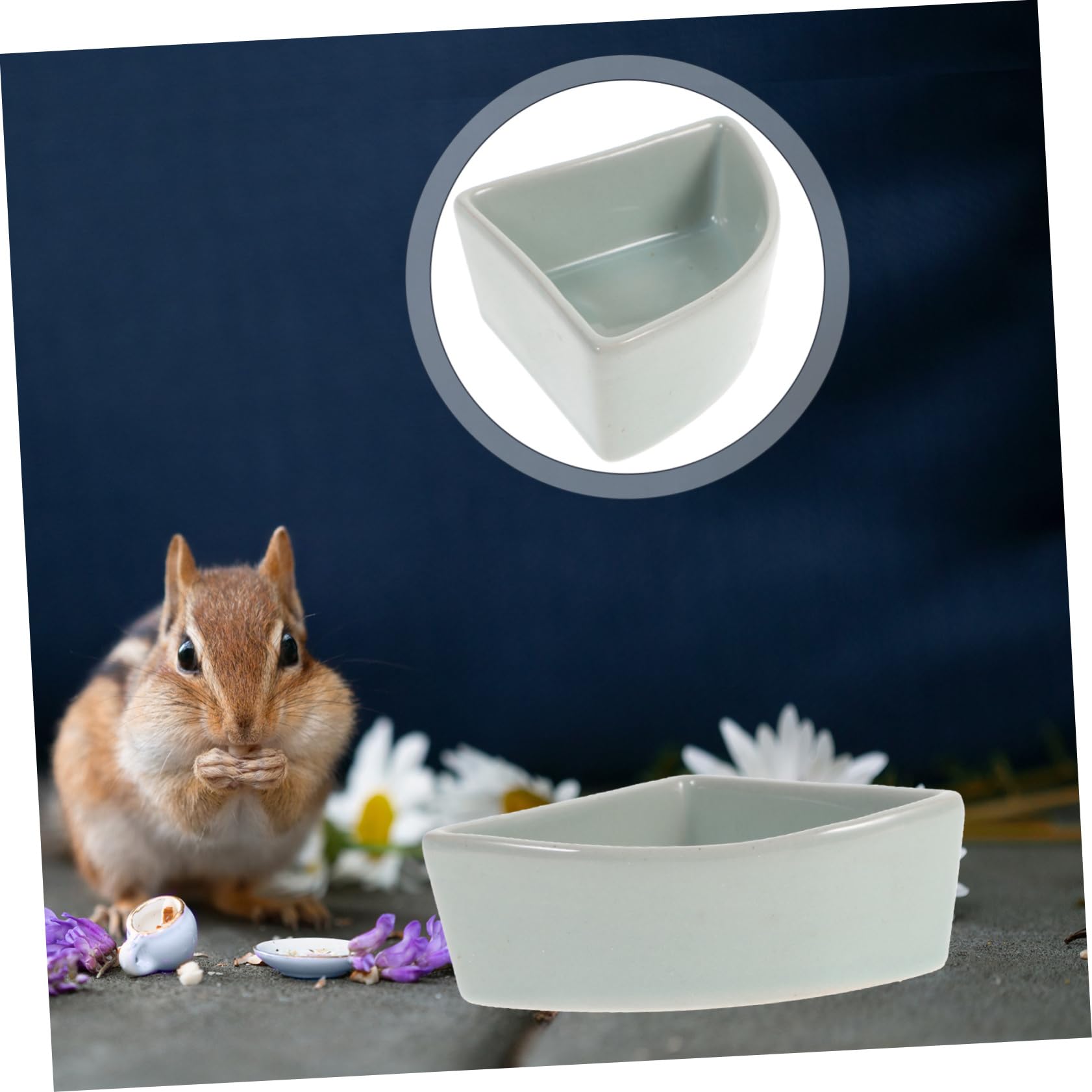 Ciotola in Ceramica Blu Adatta per Alimenti Secchi e Umidi per Criceti e Orsetti Dorati e Stabile Resistente alla Masticazione Anti-ribaltamento per Piccoli Animali