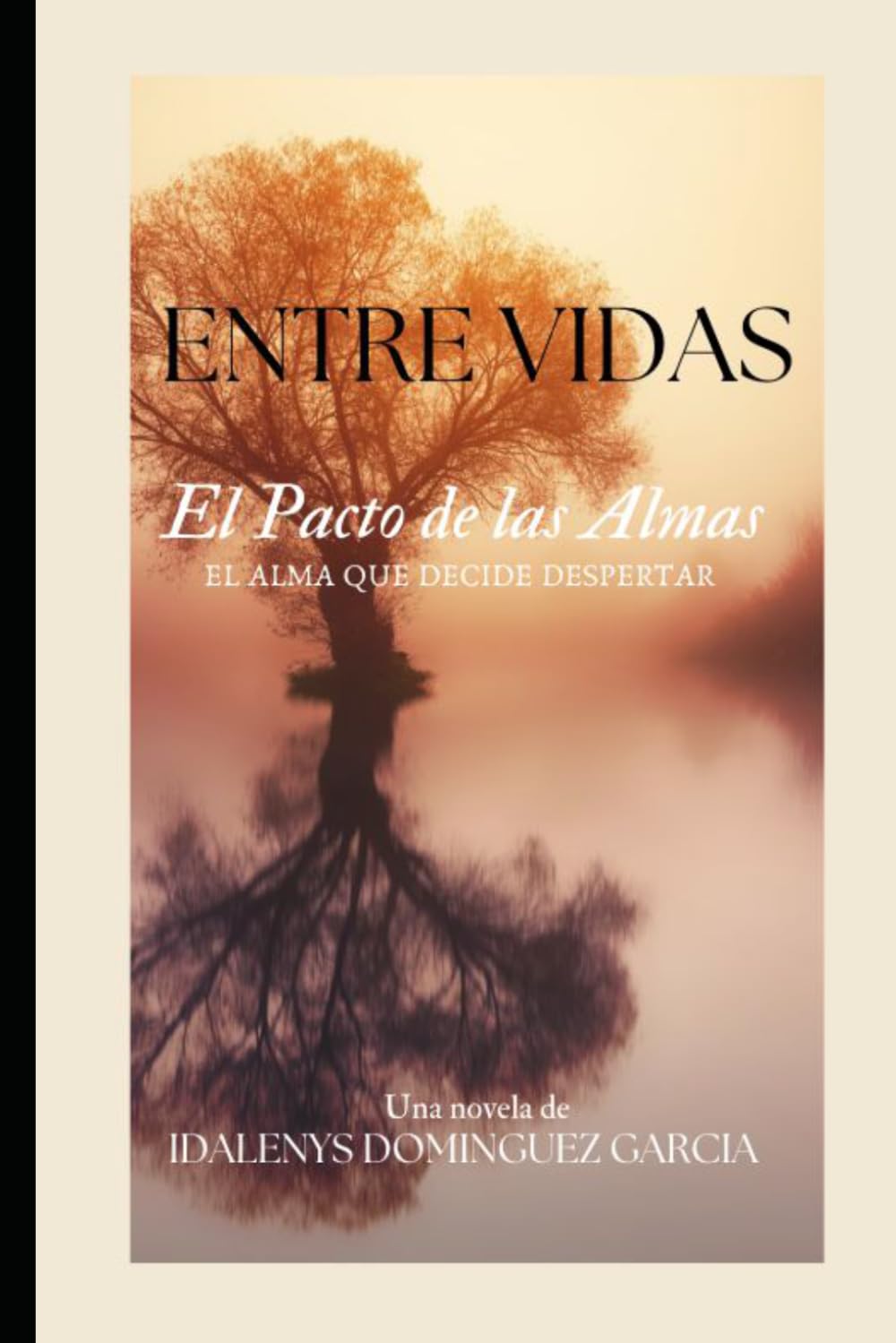 Entre Vidas: El Pacto de las Almas