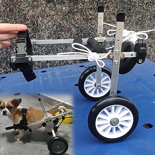 Chariot de récupération de mobilité pour chat et petit chien
