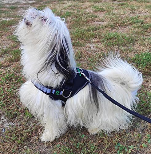 AnimalLove Pettorina Cane Taglia Piccola con