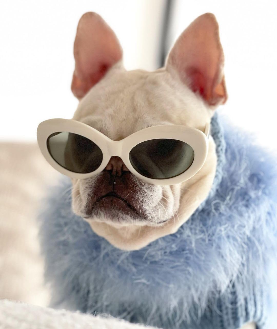 Fluffy Dog Sweater for Small Medium Dogs – Feather Look Knit Pet Outfit for Winter, Party, Photoshoot & Holiday Wear (Sky Blue,M)
