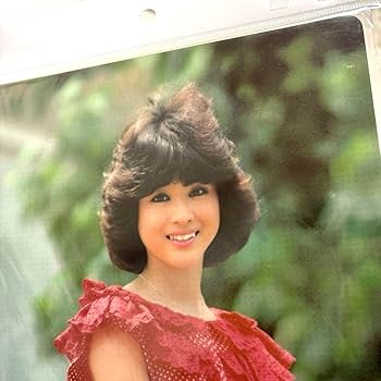 Amazon.co.jp: 松田聖子 下敷き 80年代 聖子ちゃん グッズ