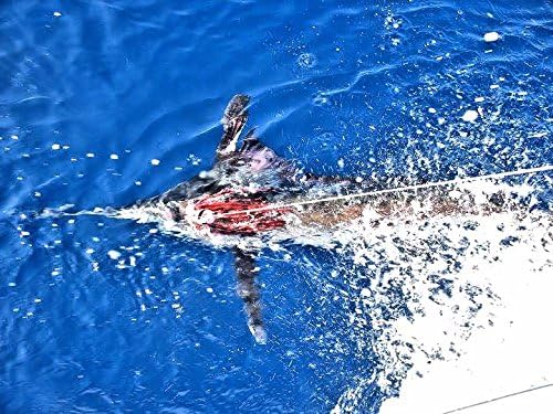 Marlin Lure Trolling Pack by Bost - Un-Rigged