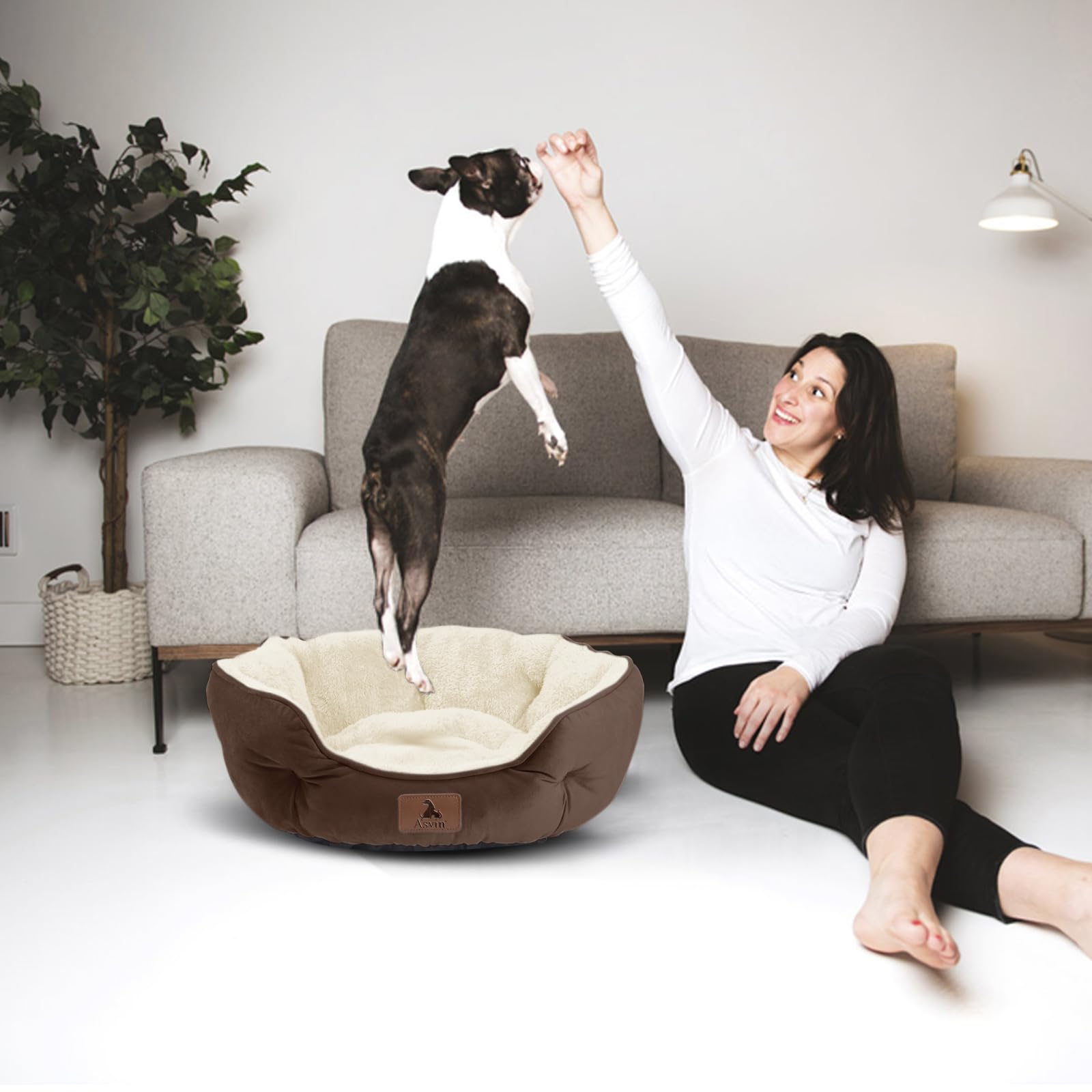 Asvin Cama Mediana para Perros medianos, Camas Grandes para Gatos de Interior, Cama para Mascotas para Cachorros y Gatitos, Extra Suave y Lavable a máquina, con Parte Inferior Oxford Antideslizante y
