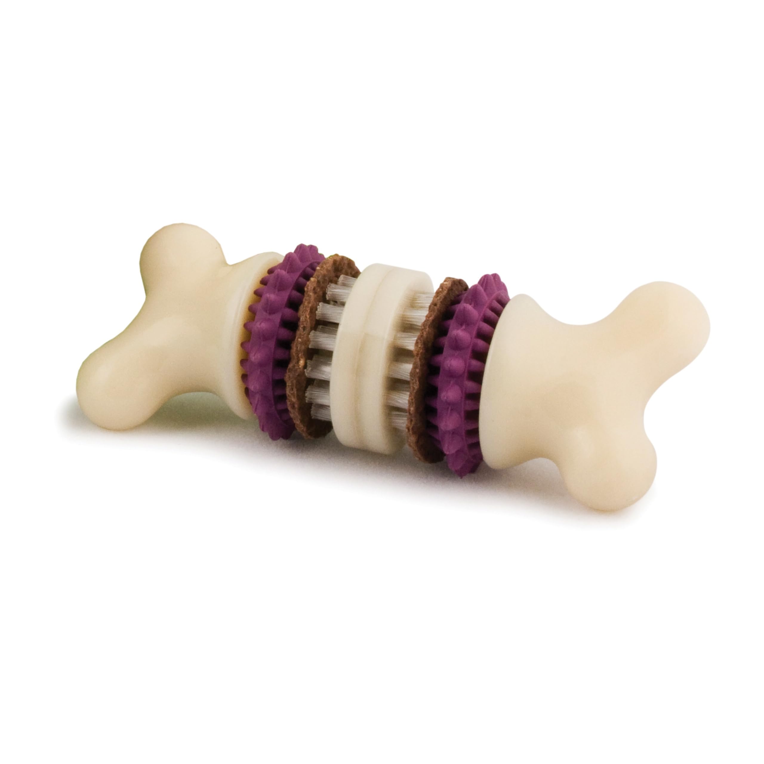 Premier PetSafe Busy Buddy Bristle Bone S Durable Dog Chew Toy, Dog Toy Bone with Treat Rings for Dental Health, Small Dogs