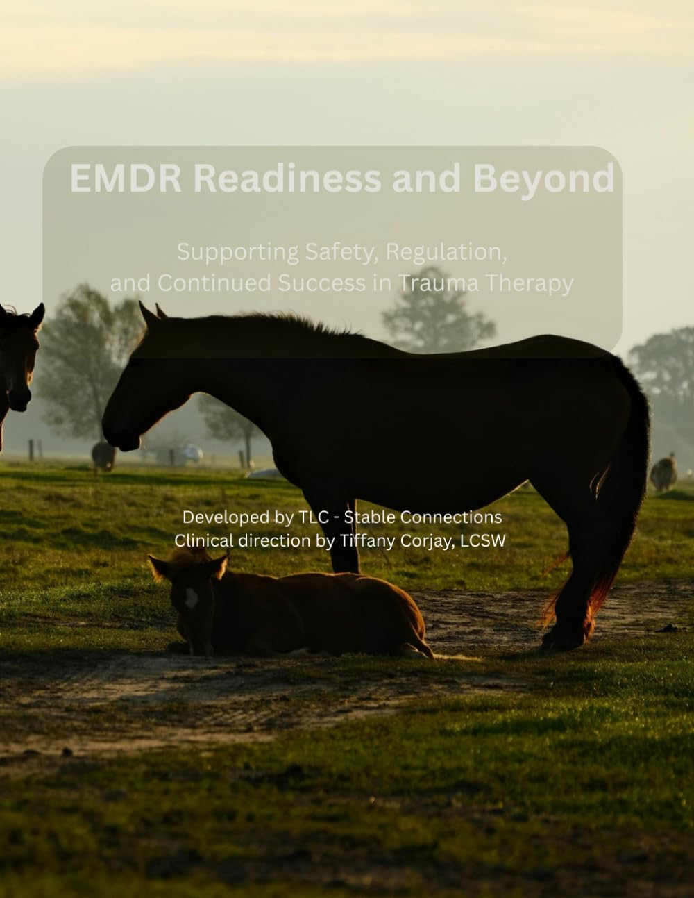 EMDR Readiness and Beyond: Supporting Safety, Regulation, and Continued Success in Trauma Therapy