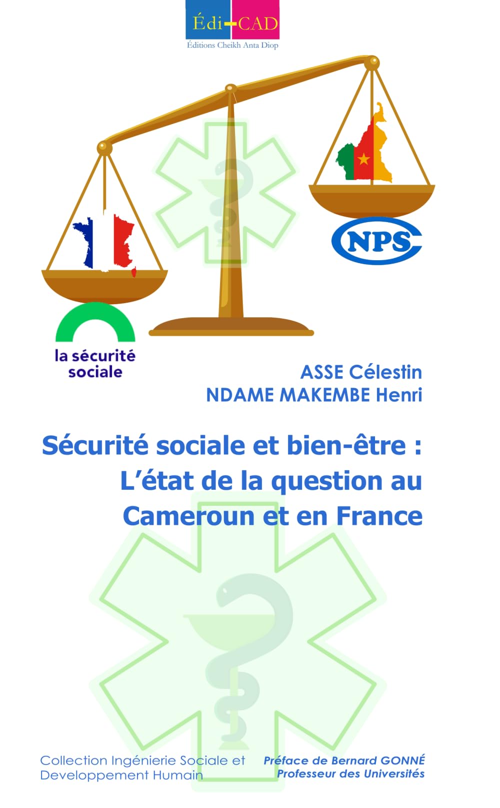 Sécurité sociale et bien-être : L’état de la question au Cameroun et en France