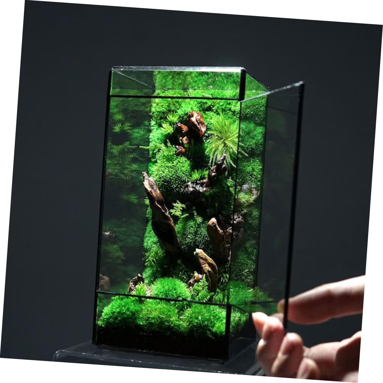 Kleines Geometrisches Glas Terrarium für Mikrolandschaften Handgefertigt mit Zinnrahmen Dekorativ für Zuhause und Garten Geeignet