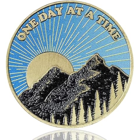 LZWIN One Day at A Time Serenity Sunrise Sobriety Token AA Medallion Recovery Chip for Men Women Cover