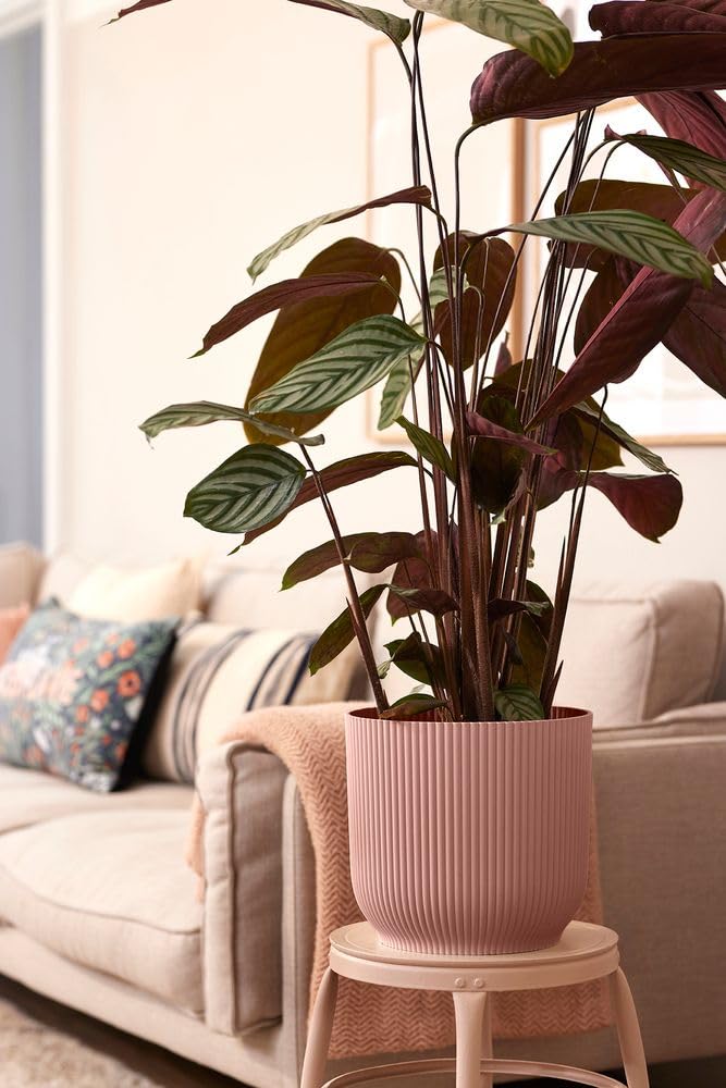 elho Vibes Fold Rund Rollen 35cm Blumentopf - Zartrosa | ∅ 34.9 x H 32.4 cm | für den Innenbereich | 100% recyceltes Plastik