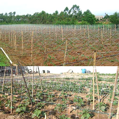 Hhthh White Trellis Netting 5.5X100 Ft Heavy Duty Garden Trellis Netting Polypropylene Plant Support Net For Climbing Vegetables Fruits Flowers #TOP4