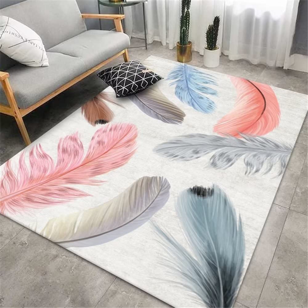 Tapis de chambre garçon fin résistant rose plumes 50x80