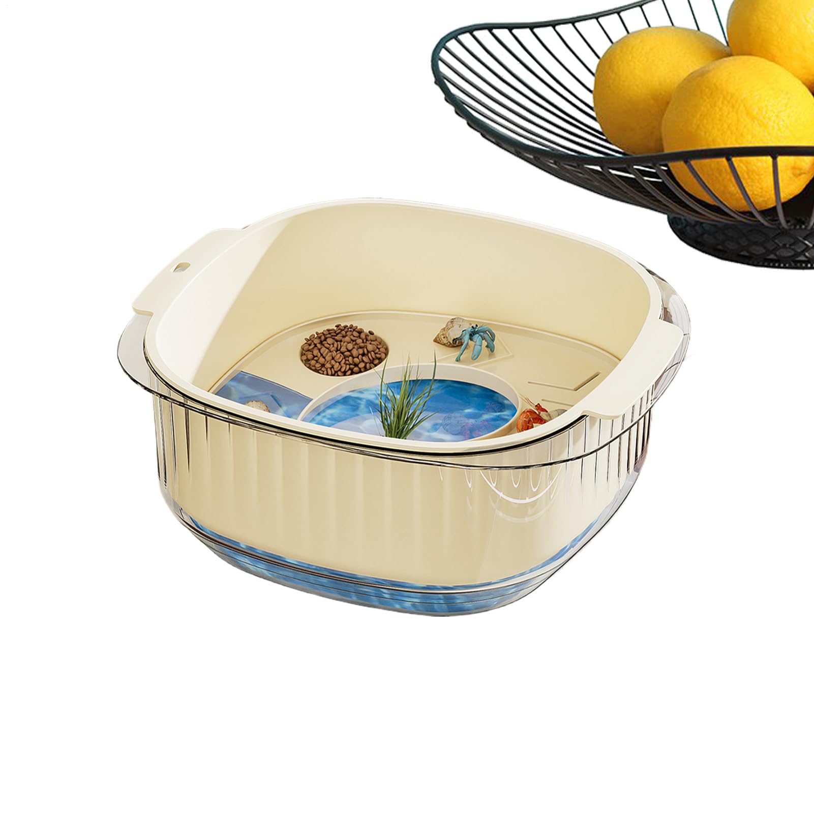 Petit aquarium pour tortues aquatiques et terrarium pour écrevisses