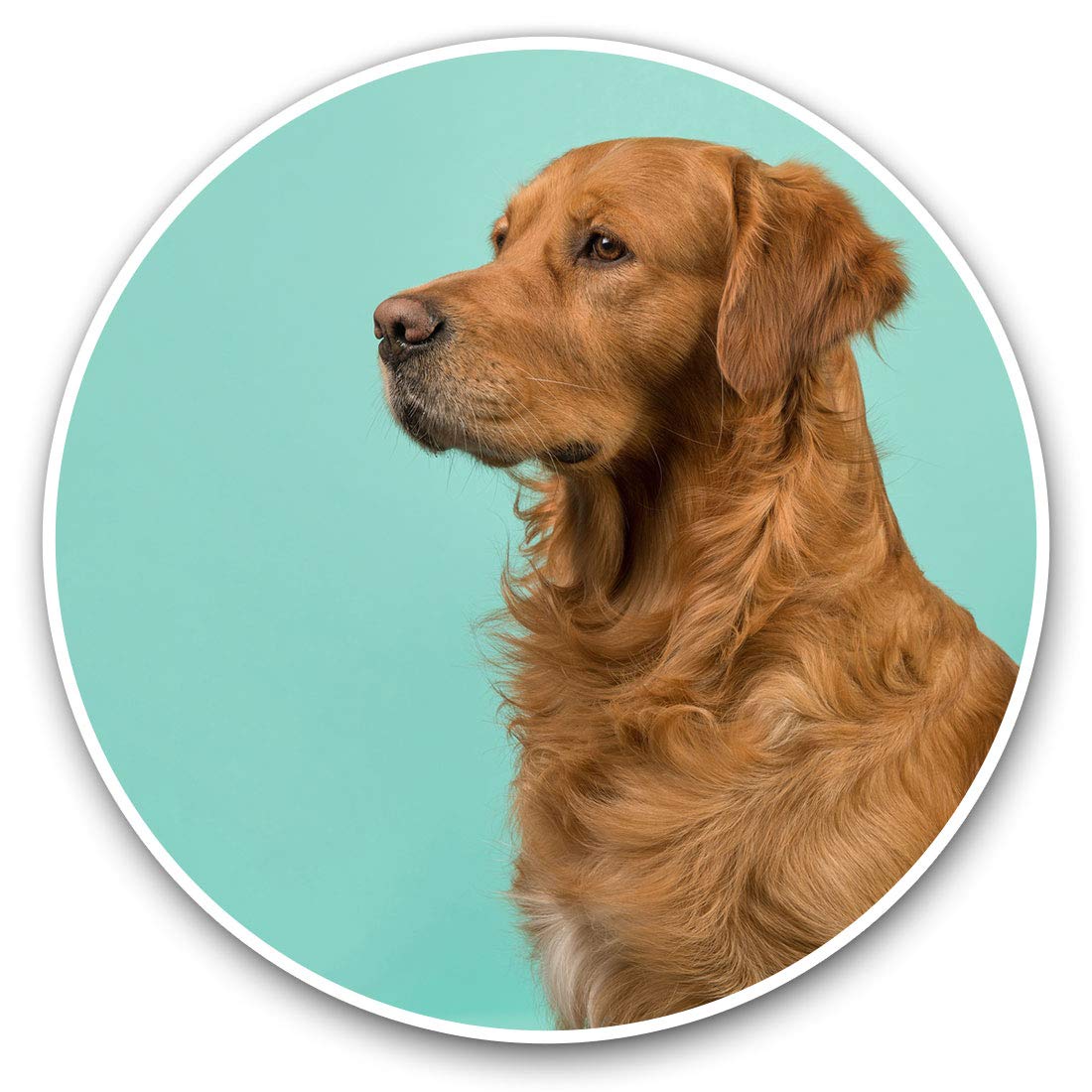 Destination Vinyl Ltd Golden Retriever Dog Puppy Pet 21622 Vinyl Stickers (Set Of 2) 7.5Cm - Golden Retriever Dog Puppy Pet #21622