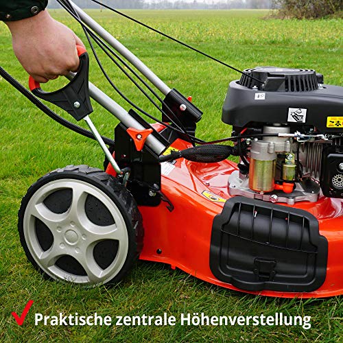 Benzin Rasenmäher Hecht 5-in-1 für effiziente Rasenpflege