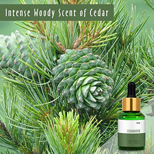 Image of 30ml Cedarwood Fragrance Oil, MitFlor Woody Essential Oil Scents for Diffuser, Large Size Premium Fragrance Oil for Soap Candle Making, Ideal for Handcraft and Diffusing