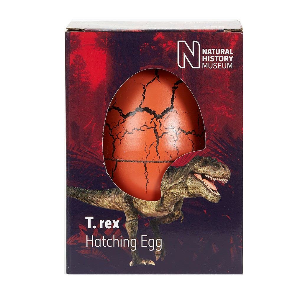 Natural History MuseumT. rex Hatching Egg in a Box