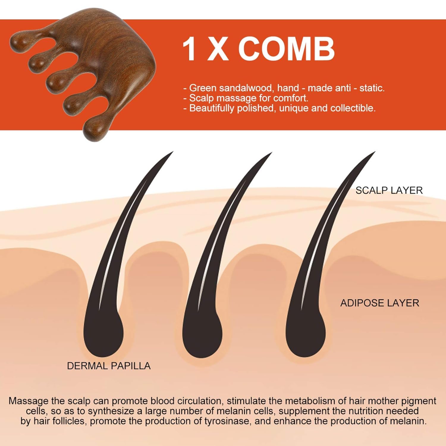 Flavoma Natural Wood Wide Tooth Hair and Scalp Massager Comb | Gua Sha comb for scalp | Multi-Functional Tool Scraping | Multifunctional Meridian Massage Comb | Ideal for Head and Neck Massage | Scalp Massage No Static Head Massager Tool Physical Therapy 4