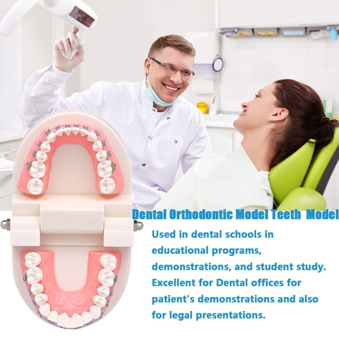 ERNZI Kieferorthopädische Zahnärztliche Behandlungsmodell Mit Keramischer Brackets, Kieferorthopädischer Metalldraht, Orale Kanalligatur, Verwendet Für Zahnärztliche Werkzeuge, Zahnärztliches Labor