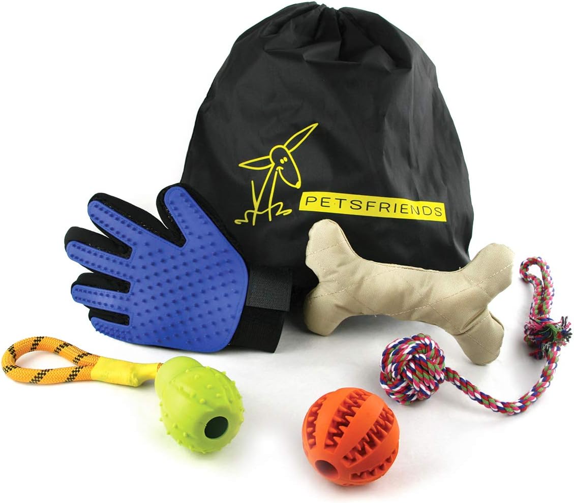 zaino da gioco per l'interruttore