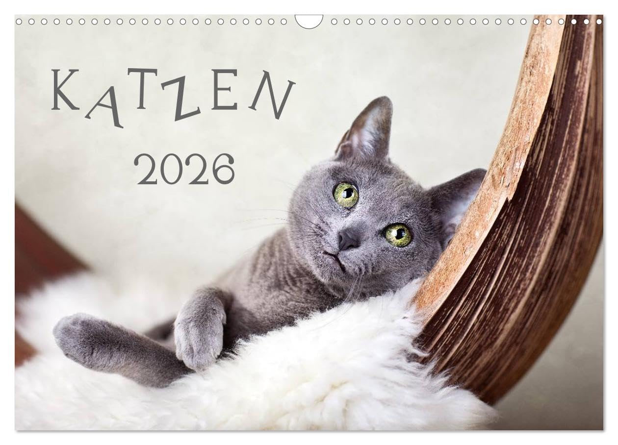 Katzen 2026 (Wandkalender 2026 DIN A3 quer), CALVENDO Monatskalender (CALVENDO Tiere)