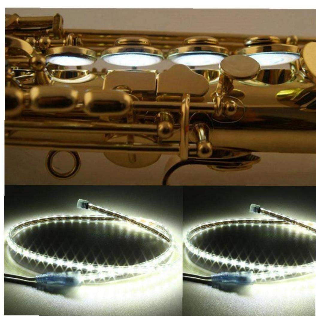 Amazon.co.jp: 100cm ledライトリーク サックスの修復ツール Amazon.co.jp: 100cm ledライトリーク サックスの修復ツール