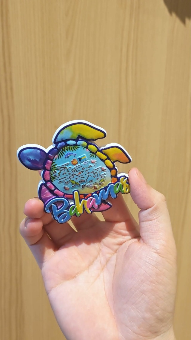 Imán decorativo 3D tortuga marina con mapa, resina miniatura 6