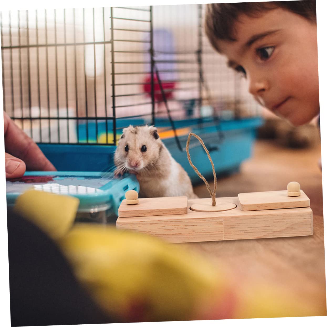 Hamster Spielzeug für Beschäftigung und Bewegung