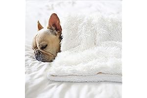 BENRON Medium Dog Blanket for Couch Bed Crate: Ultimate Comfort for Your Furry Friend