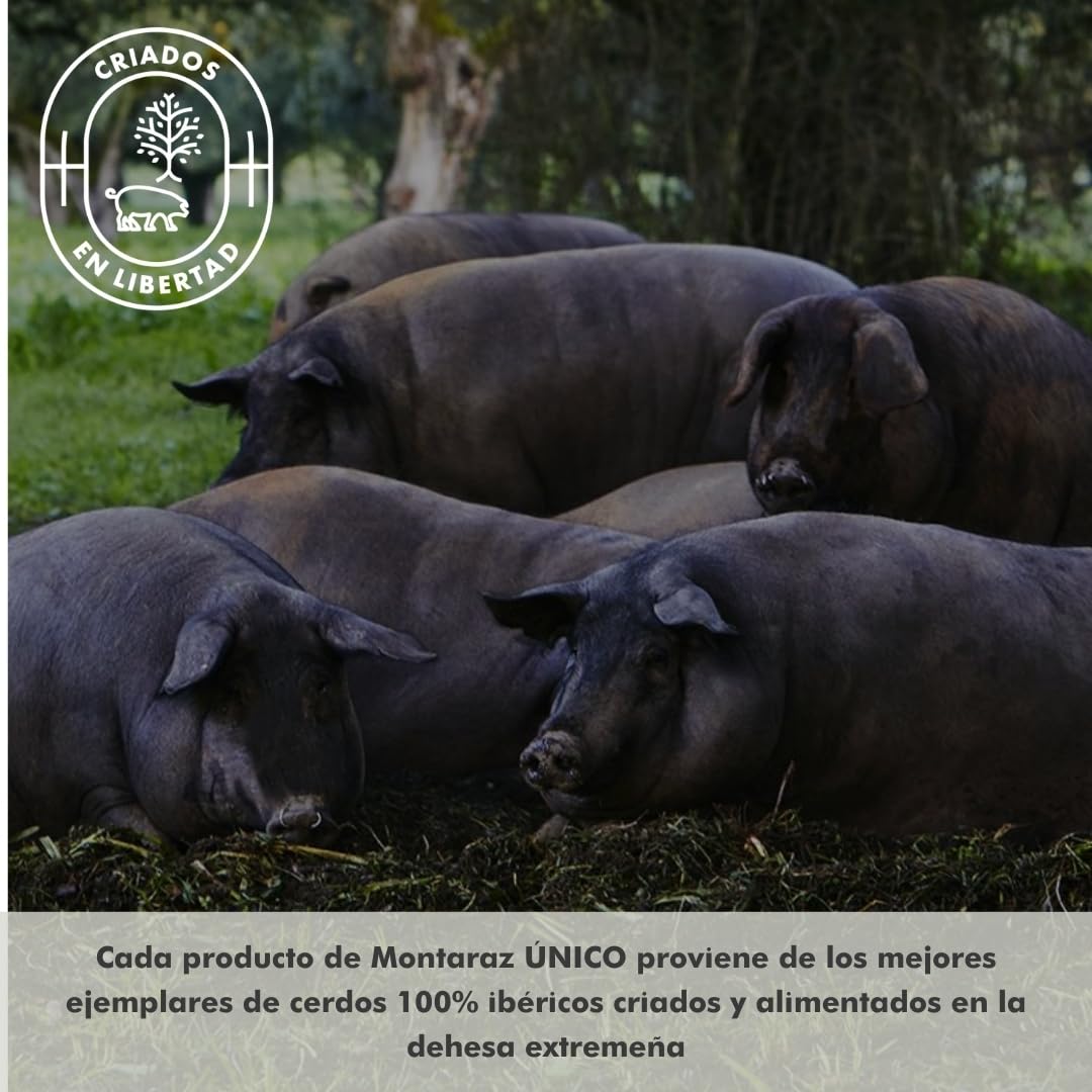 MONTARAZ® Caja Regalo Gourmet | 6 Loncheados Surtidos 100% Ibéricos de Bellota | Jamon Iberico, Lomo Iberico y Salchichon y Chorizo Ibéricos envasados al vacío (600gr) | 100% Natural | Lote Ibericos