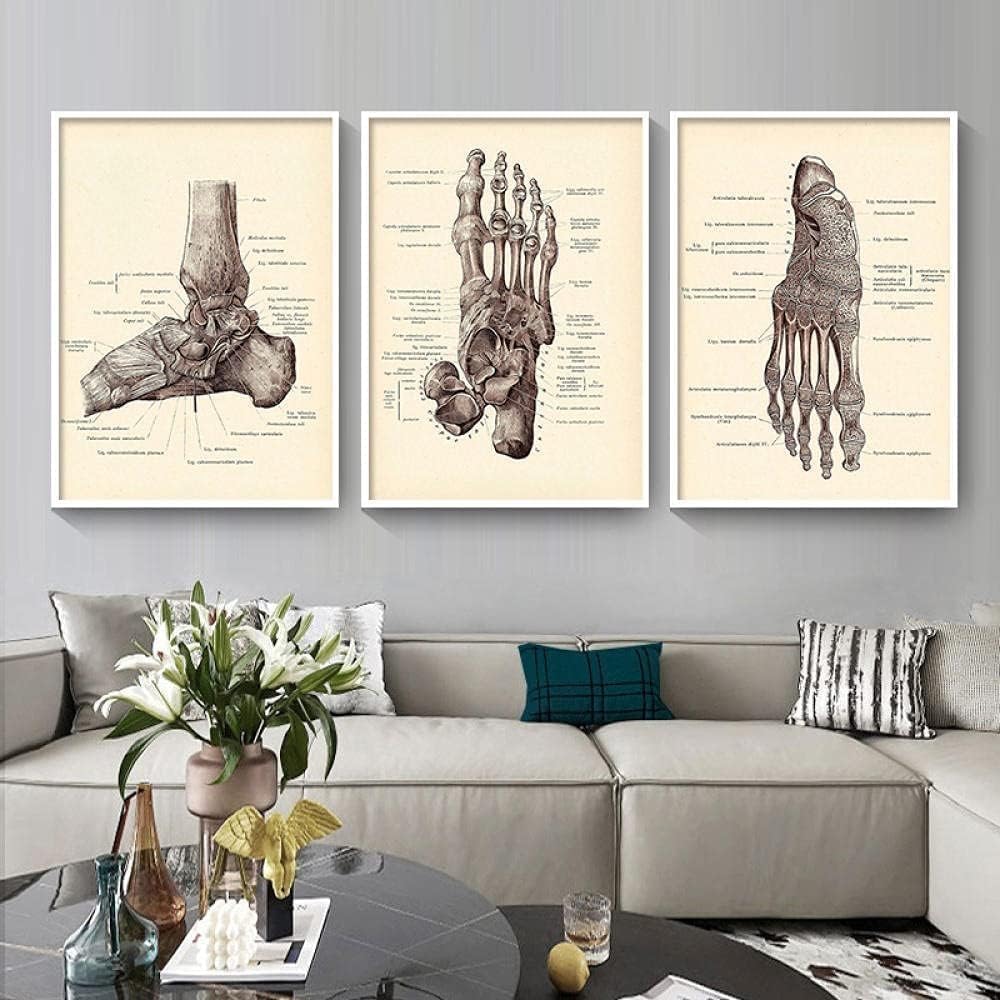 Set Of 3 Canvas Poster Abstract Feet Skeleton Vintage Clinical Anatomy Medicine Medical Black Beige Wall Art Prints Gift Bedroom Living Room Dorm Gallery Corridor Decor Picture,30x40 CM (11.8x15.8 In)