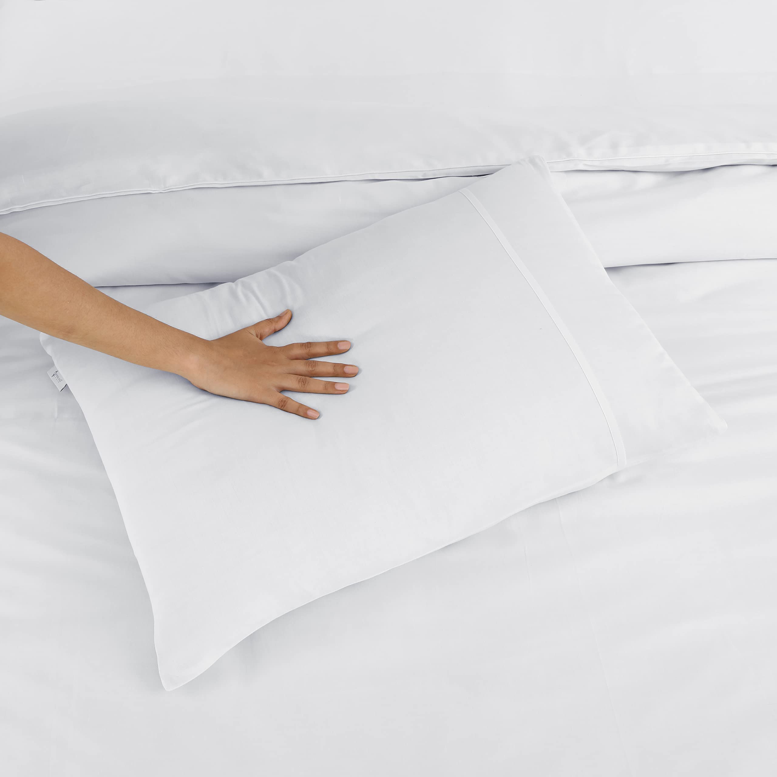 Spread Spain Madison Avenue Cotton with Light Silky and Sateen 400 Thread Count 1 Pillow Cover (22" x 34" inchWhite) 1