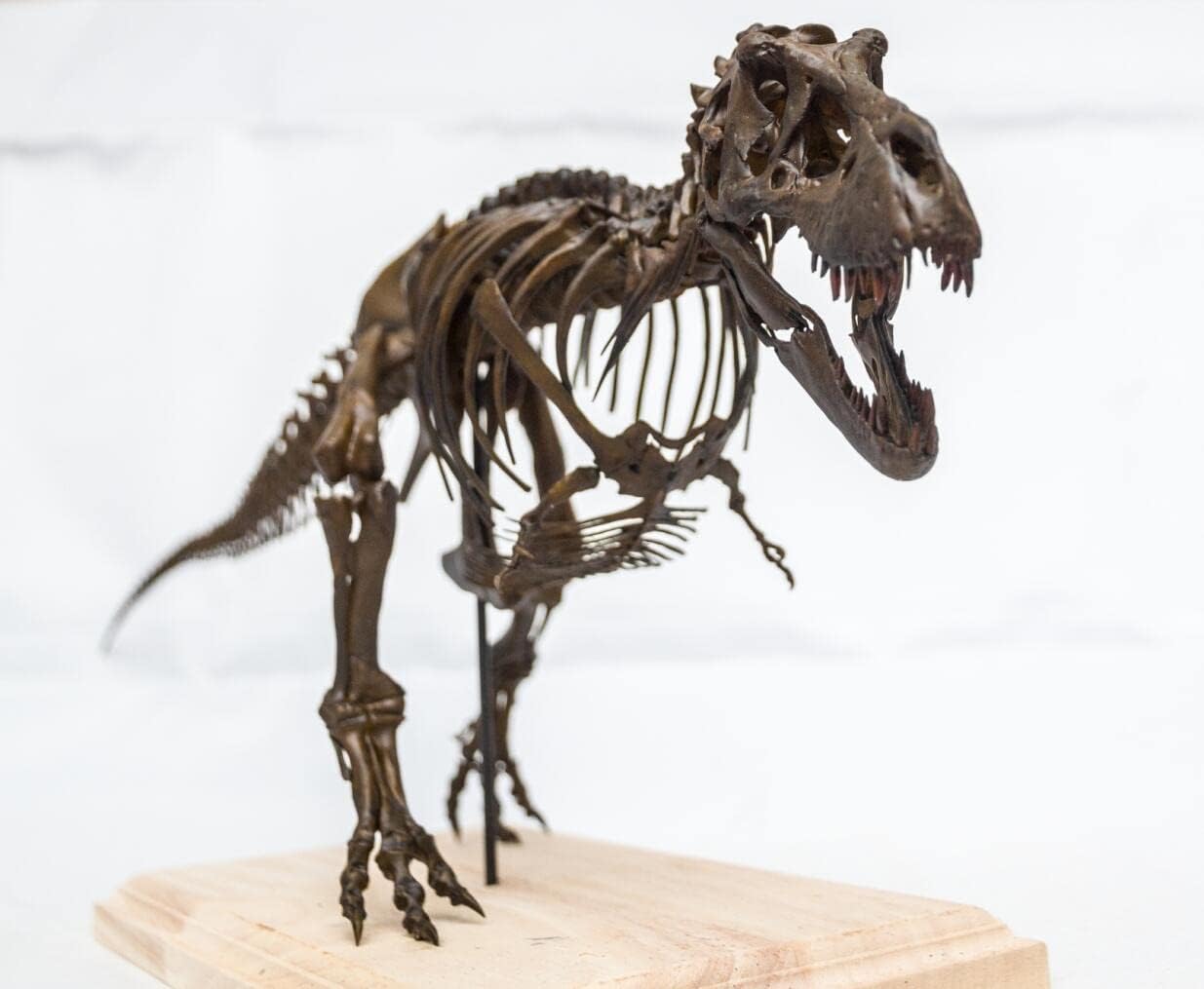 VWUVWU 1:35 Scale Tyrannosaurus Rex Trix Figure Tyrannosauridae Skeleton Collector Resin Animal Model GK Dinosaur Decor Gift for Adult (1/35)