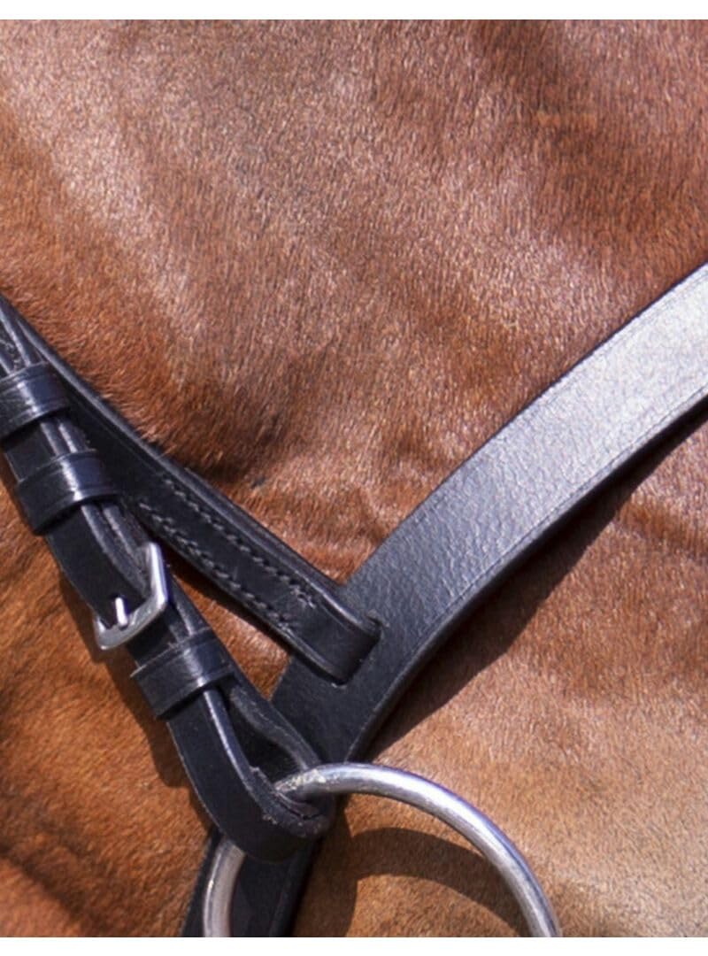 Riding World Trensenzaum Nasenriemen Französische Pony Schwarz