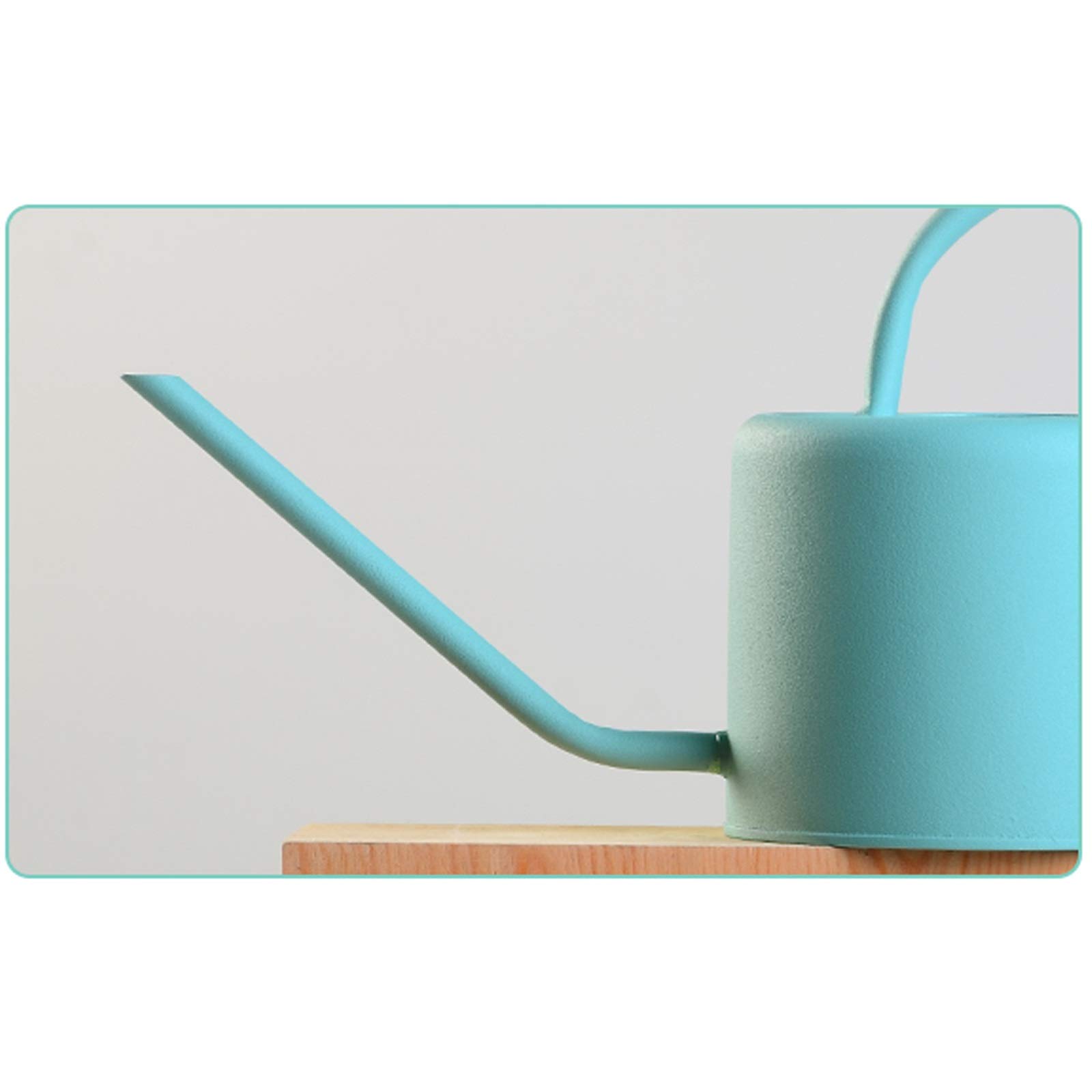 Arrosoirs galvanisés Arrosoir de Style Moderne avec poignée, pour Plantes d'extérieur et d'intérieur Bec verseur d'eau Gushe (C)