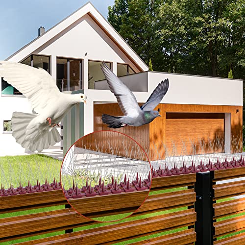 20-Pack Bird Spikes For Small Birds, Upgraded Bird Deterrent Spikes To Keep Birds Away, Anti Bird Spikes For Pigeons, Cats, Raccoons, Use For Fence Roof Windowsill #TOP2