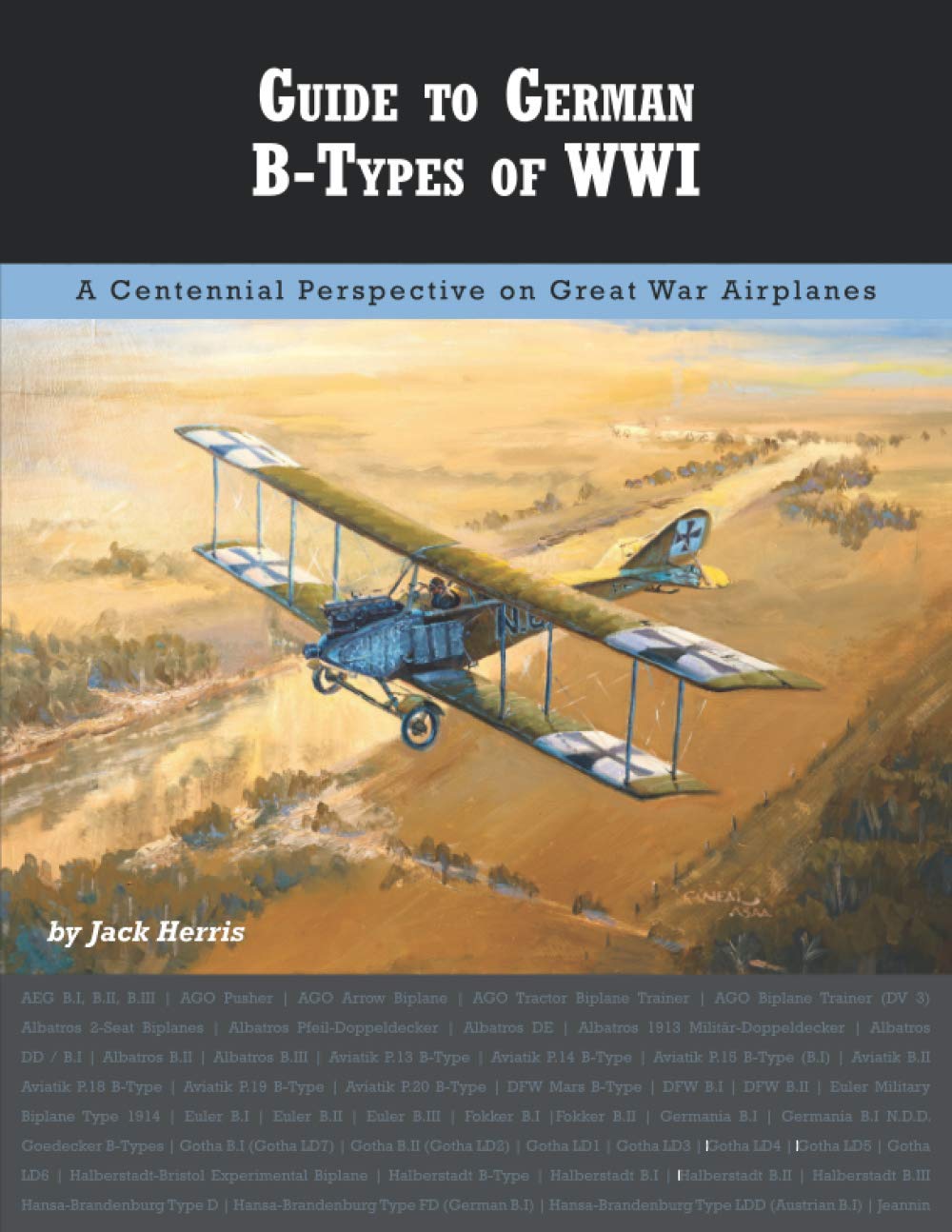 Buy Guide to German BTypes of WWI (Great War Aviation Centennial