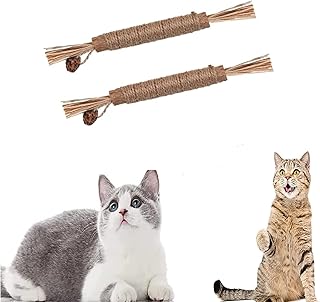 CAVLA 2 Pack Catnip Sticks Natural Silvervine Sticks, Pet Cat Snacks Sticks Cleaning Tooth Catnip Cat Toys, Actinidia Fruit Silvervine Cat Snacks Sticks Pet Cleaning Teeth