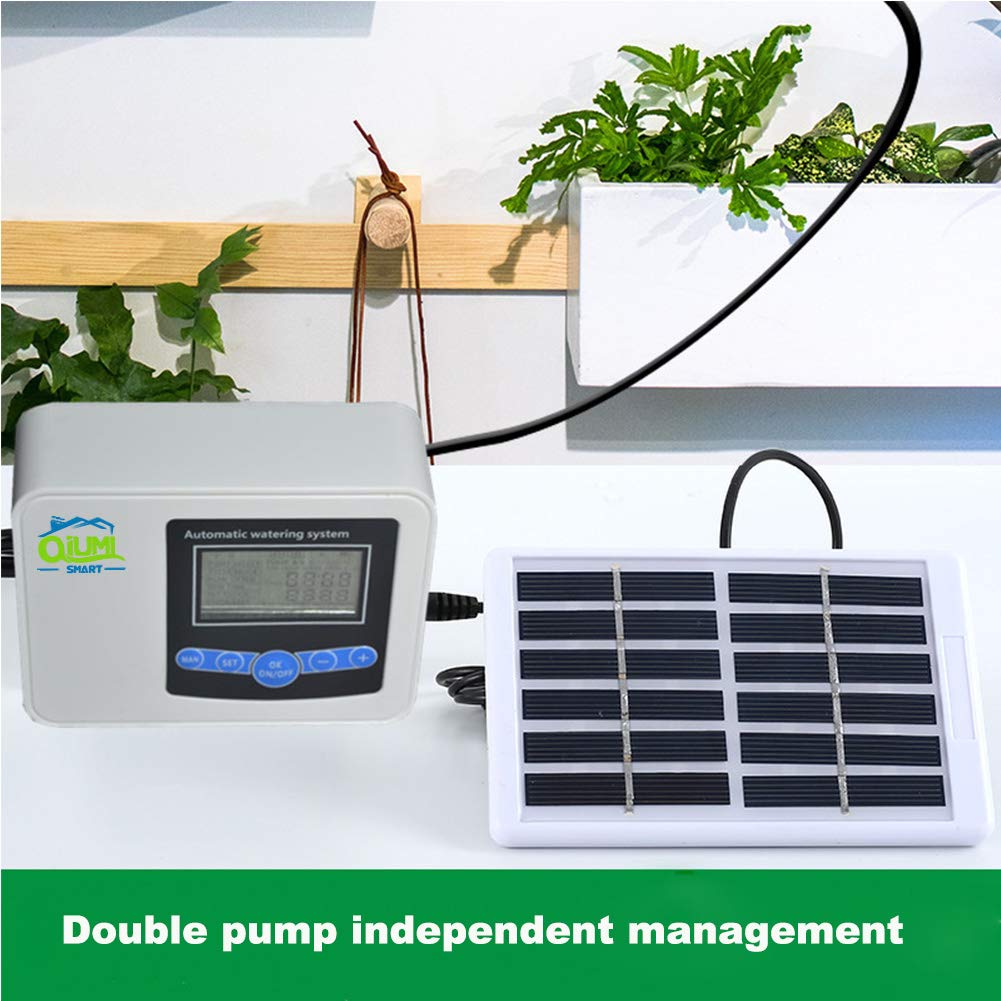 Controller automatico dell'acqua da giardino, prato, fiori da giardino, controller di irrigazione del balcone Irrigazione intelligente per giardino domestico Solare (doppia pompa)
