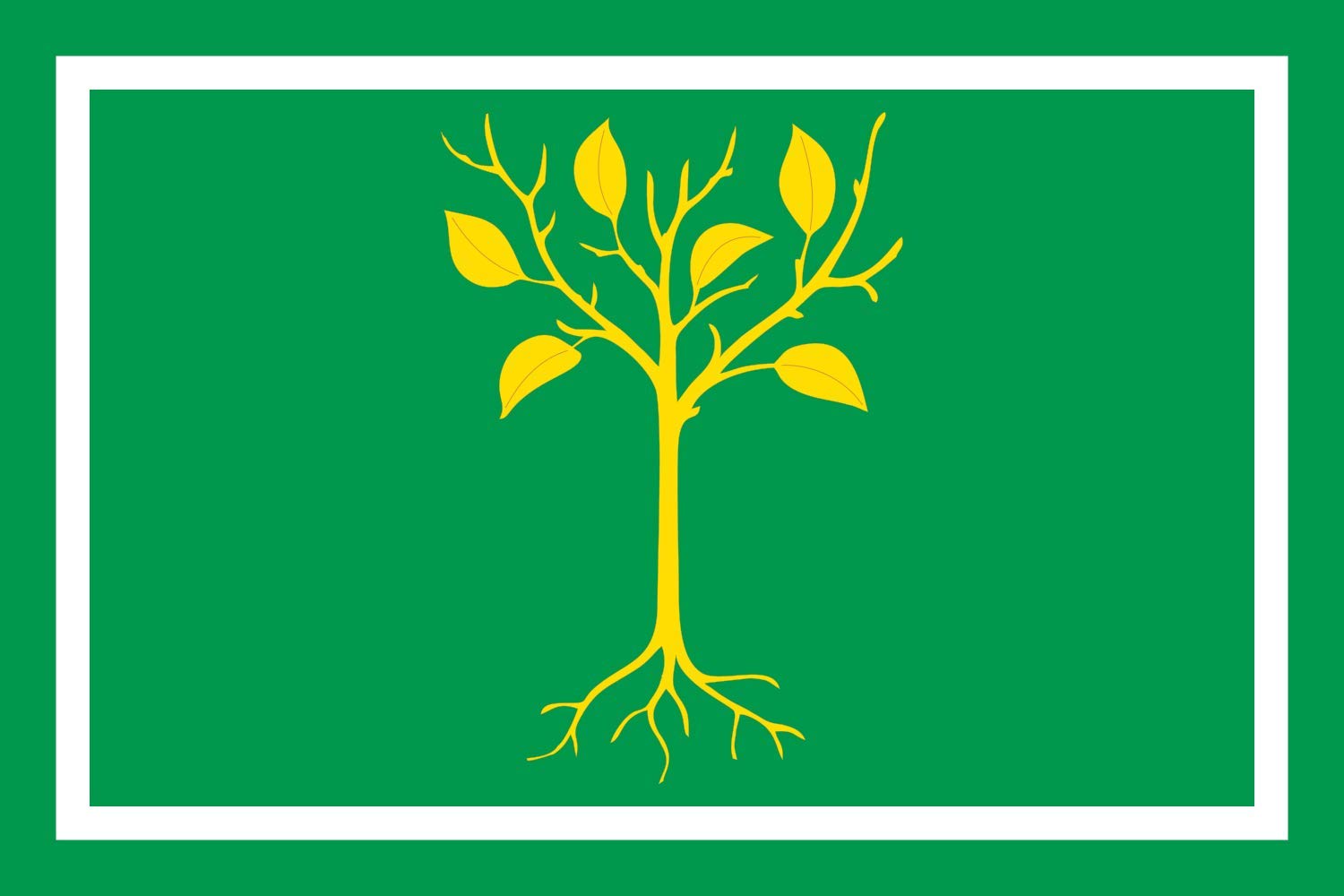 Drapeau Chertanovo Tsentralnoye grand format en tissu résistant pour mât
